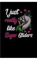 I Just Really Like Sugar Gliders: Cute Sugar Glider Notebook