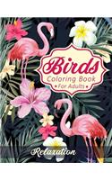 Birds Coloring Book For Adults