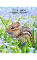 2019 - 2020 18 Month Weekly & Monthly Planner July 2019 to December 2020: Chipmunk Wildlife Nature Vol 11 Monthly Calendar with U.S./Uk/ Canadian/Christian/Jewish/Muslim Holidays- Calendar in Review/Notes 8 X 10 In.