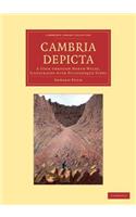 Cambria Depicta
