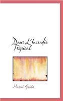 Dans L'Incendie Tropical