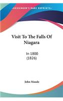 Visit To The Falls Of Niagara
