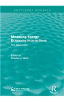 Modeling Energy-Economy Interactions