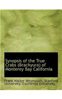 Synopsis of the True Crabs (Brachyura) of Monterey Bay California