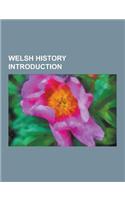 Welsh History Introduction: Wales Castle Stubs, National Assembly for Wales Election, 1999, Llansteffan Castle, Edeirnion, Rhondda East By-Electio(English)