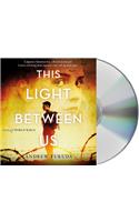 This Light Between Us: A Novel of World War II