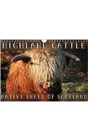 Highland Cattle - Native Breed of Scotland 2017: Highland Cattle, the Scottish Cattle Breed Photographed in its Own Natural Habitat (Calvendo Animals)