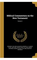 Biblical Commentary on the New Testament; Volume 1