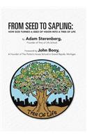 From Seed to Sapling: How God Turned a Seed of Vision Into a Tree of Life