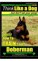 Doberman Pinscher, Doberman Pinscher Training AAA AKC
