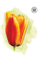 Notebook Kingdom Flower Series