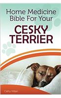 Home Medicine Bible for Your Cesky Terrier: The Alternative Health Guide to Keep Your Dog Happy, Healthy and Safe