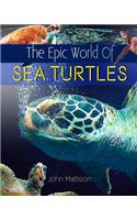 Epic World Of Sea Turtles