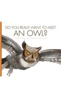 Do You Really Want to Meet an Owl?