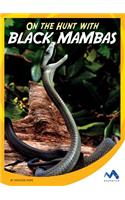 On the Hunt with Black Mambas