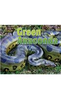 Green Anaconda