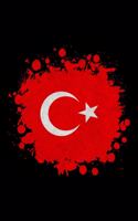 Türkei Flaggen Notizbuch