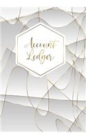 Account Ledger