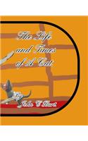 The Life and Times of A Cat.