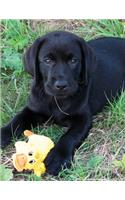 Black Labrador Puppy Calendar Notebook: Dog Wisdom Quotes(1 Duck Puppy Undated Planner 8.5x11)