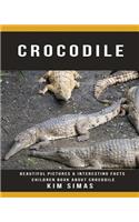 Crocodile