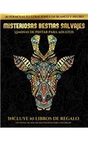 Láminas de pintar para adultos (Misteriosas bestias salvajes): Este libro contiene 30 láminas para colorear que se pueden usar para pintarlas, enmarcarlas y / o meditar con ellas. Puede fotocopiarse, imprimirse 