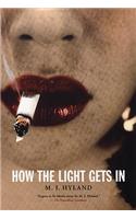 How the Light Gets in