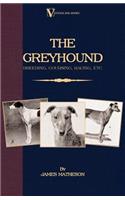 The Greyhound