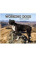 New Zealand's Working Dogs
