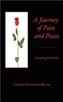 Journey of Peace and Pain