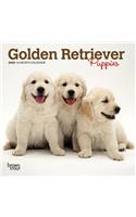 Golden Retriever Puppies 2020 Mini Wall Calendar