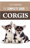 The Complete Guide to Corgis: Everything to know about both the Pembroke Welsh and Cardigan Welsh Corgi dog breeds
