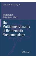 The Multidimensionality of Hermeneutic Phenomenology