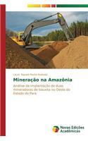 Mineração na Amazônia