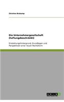 Die Unternehmergesellschaft (haftungsbeschränkt): Entstehungshintergrund, Grundlagen und Perspektiven einer neuen Rechtsform