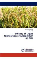Efficacy of Liquid Formulation of Azospirillum on Rice