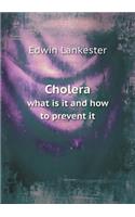 Cholera what is it and how to prevent it: (English)