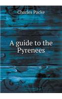 A Guide to the Pyrenees