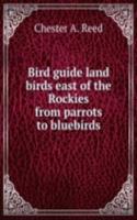 Bird guide land birds east of the Rockies from parrots to bluebirds