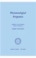 Phenomenological Perspectives