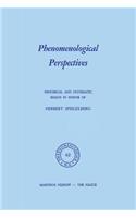 Phenomenological Perspectives