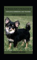The Absolute Guide To The Essentials Of Chihuahua Breeding And Training For Starters