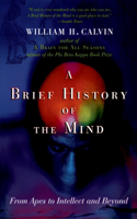 Brief History of the Mind