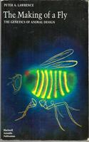 The Making of a Fly