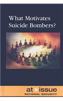 What Motivates Suicide Bombers?