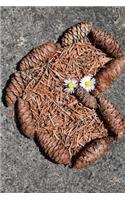 Pine Cone and Daisy Heart Journal: Take Notes, Write Down Memories in this 150 Page Lined Journal