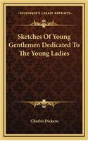 Sketches of Young Gentlemen Dedicated to the Young Ladies