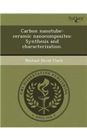 Carbon Nanotube-Ceramic Nanocomposites: Synthesis and Characterization