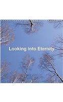 Looking into Eternity 2017