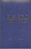 Ng Brain